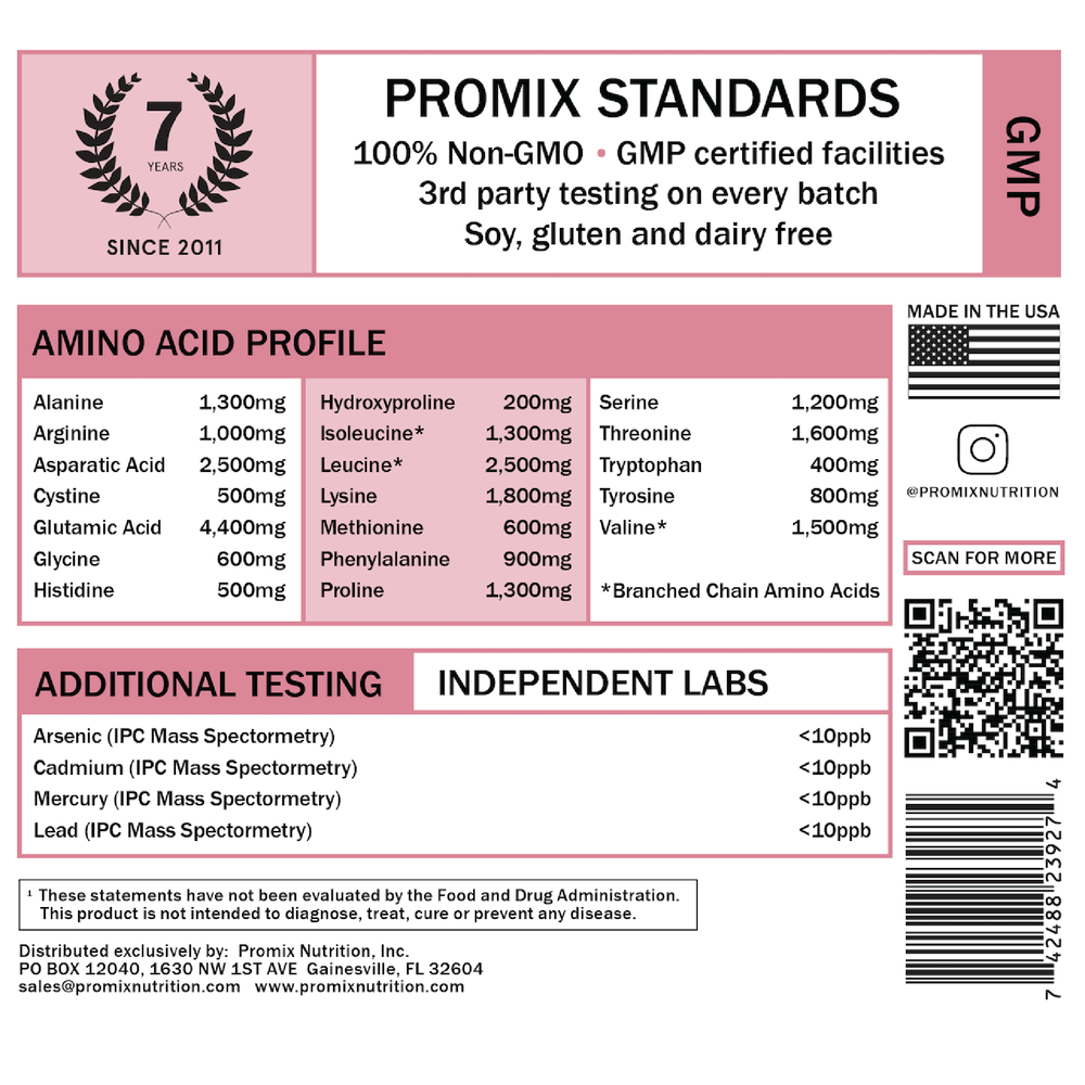 Raw Chocolate Vegan Protein Powder, 1 LB Container