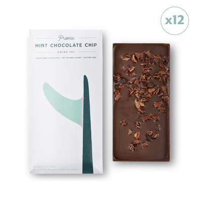 Mint Chocolate Chip Chocolate Bars