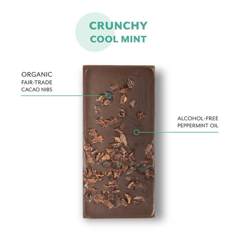 Mint Chocolate Chip Chocolate Bars