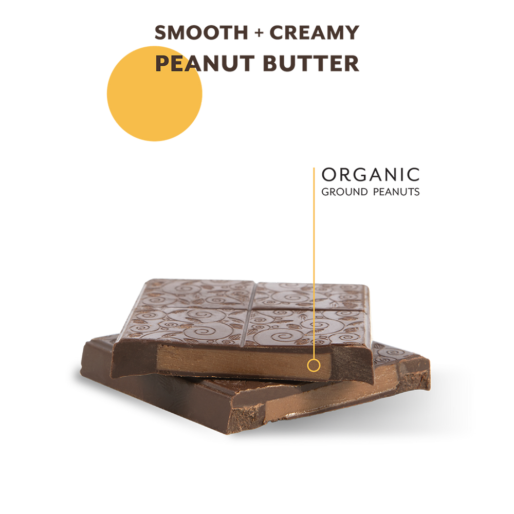 Peanut Butter Cup Chocolate Bars