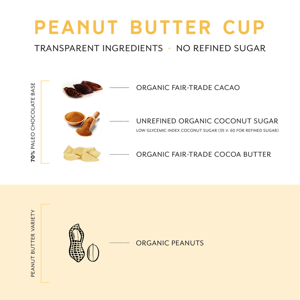 Peanut Butter Cup Chocolate Bars