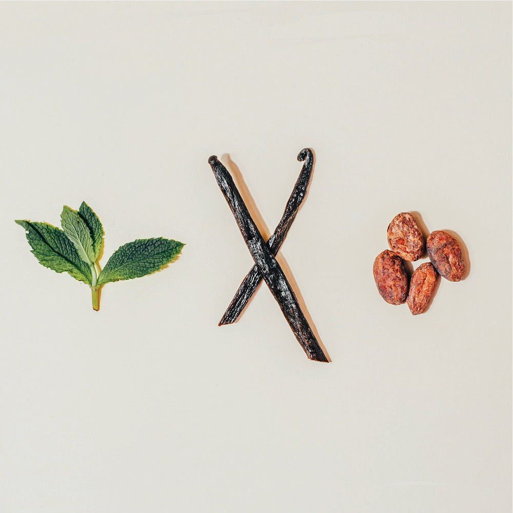 Vanilla Protein Puff Bars